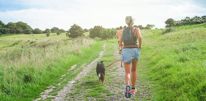 quel equipement pour le canicross