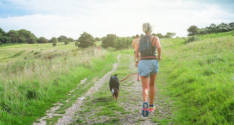 quel equipement pour le canicross