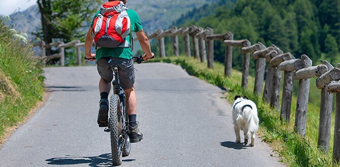 faire du velo avec son chien
