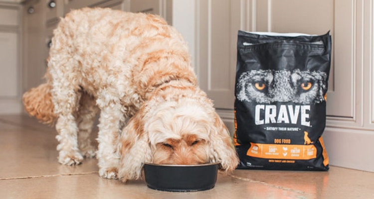 alimentation mixte pour chien definition et avantages