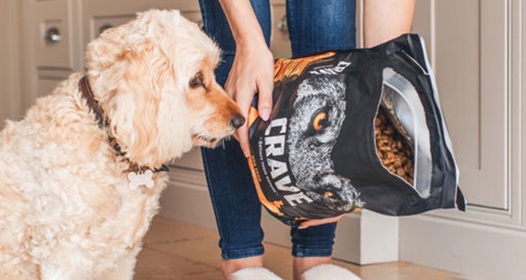 conseils pour le calcul de la ration de croquettes de votre chien