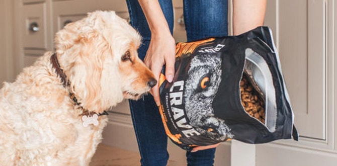 conseils pour le calcul de la ration de croquettes de votre chien