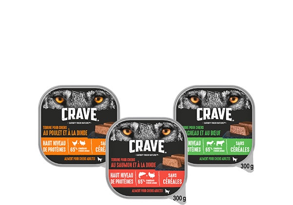 crave terrines pour chiens