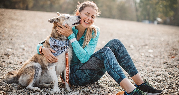 quel materiel pour pratiquer un sport canin