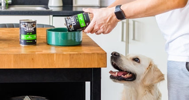 quelle quantite de nourriture pour un chien