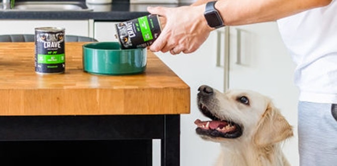 quelle quantite de nourriture pour un chien