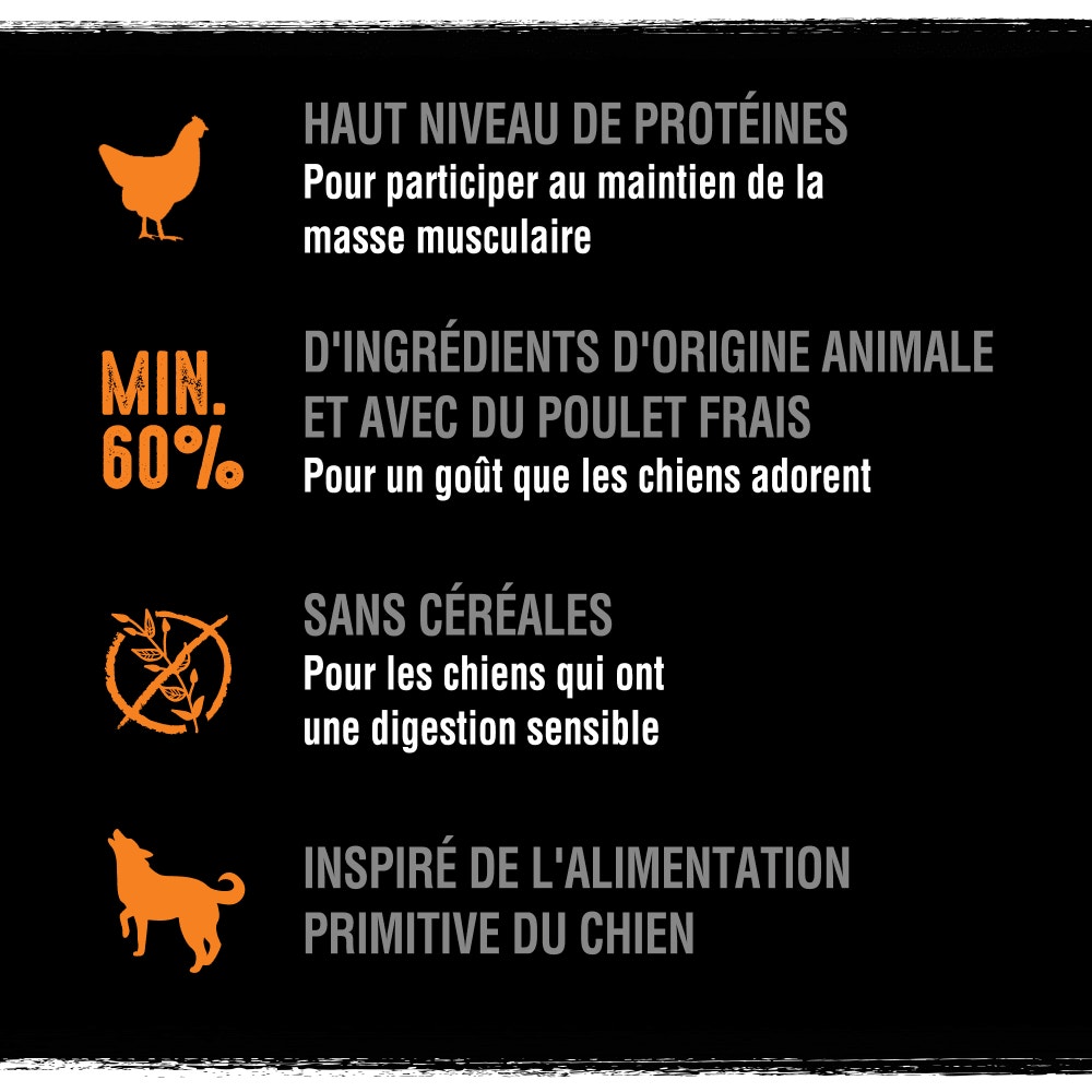 CRAVE™ Croquettes à la Dinde et au Poulet pour chiens adultes 1kg & 7kg - 3