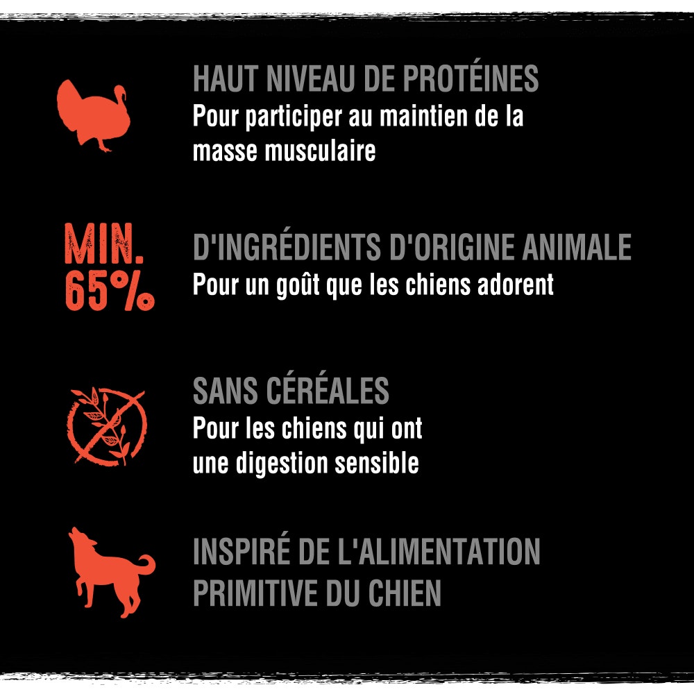 CRAVE™ Terrine en Barquette au Saumon et à la Dinde pour Chiens adultes 300g - 3