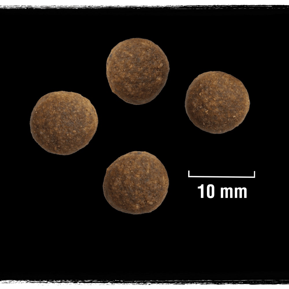 CRAVE™ Croquettes à la Dinde et au Poulet pour chiens adultes 1kg & 7kg - 5