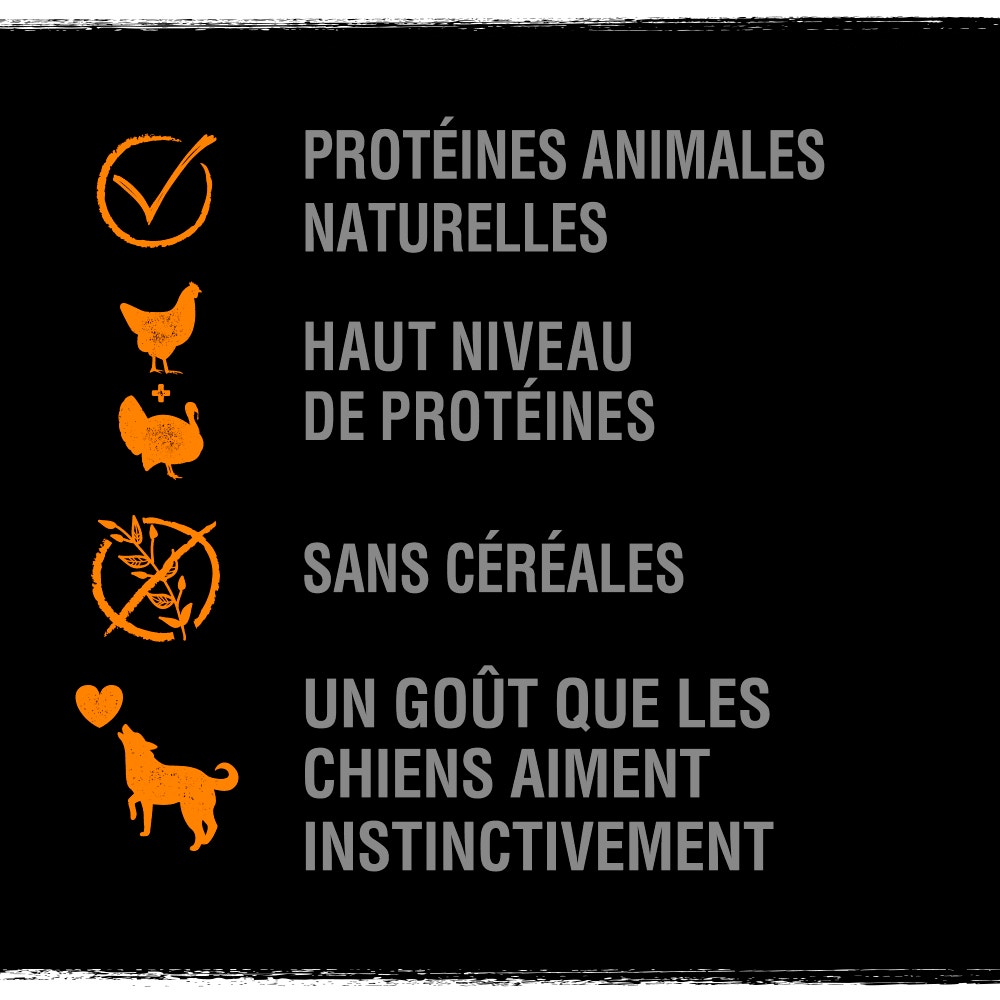 CRAVE™ Protein Strips Friandise au Poulet avec de la Dinde pour Chien 55g - 3