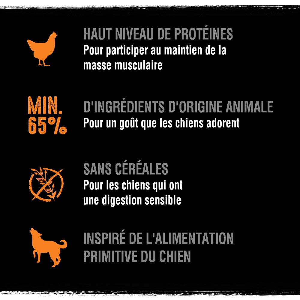 CRAVE™ Terrine en Barquette au Poulet et à la Dinde pour Chiens adultes 300g - 3